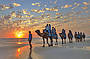 Iconic sunset camel ride on Cable Beach