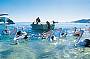 2 Day Tangalooma Wild Dolphin Resort Adventure (twin share)
