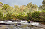 Beach & Forest Eco Adventure 9am Departure